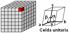 Celda unitaria